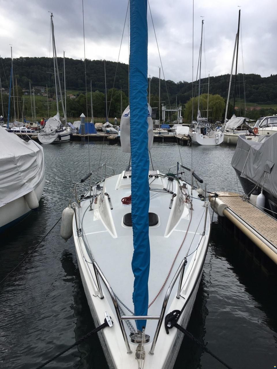 Protagonist One Design 7.50