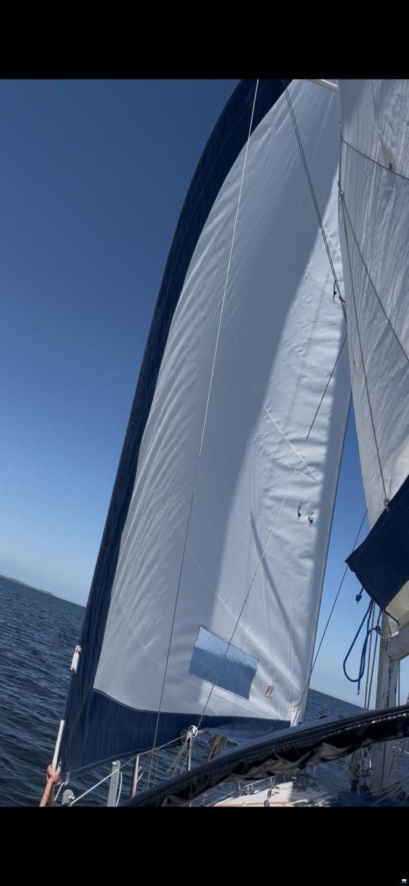 Imexus 28