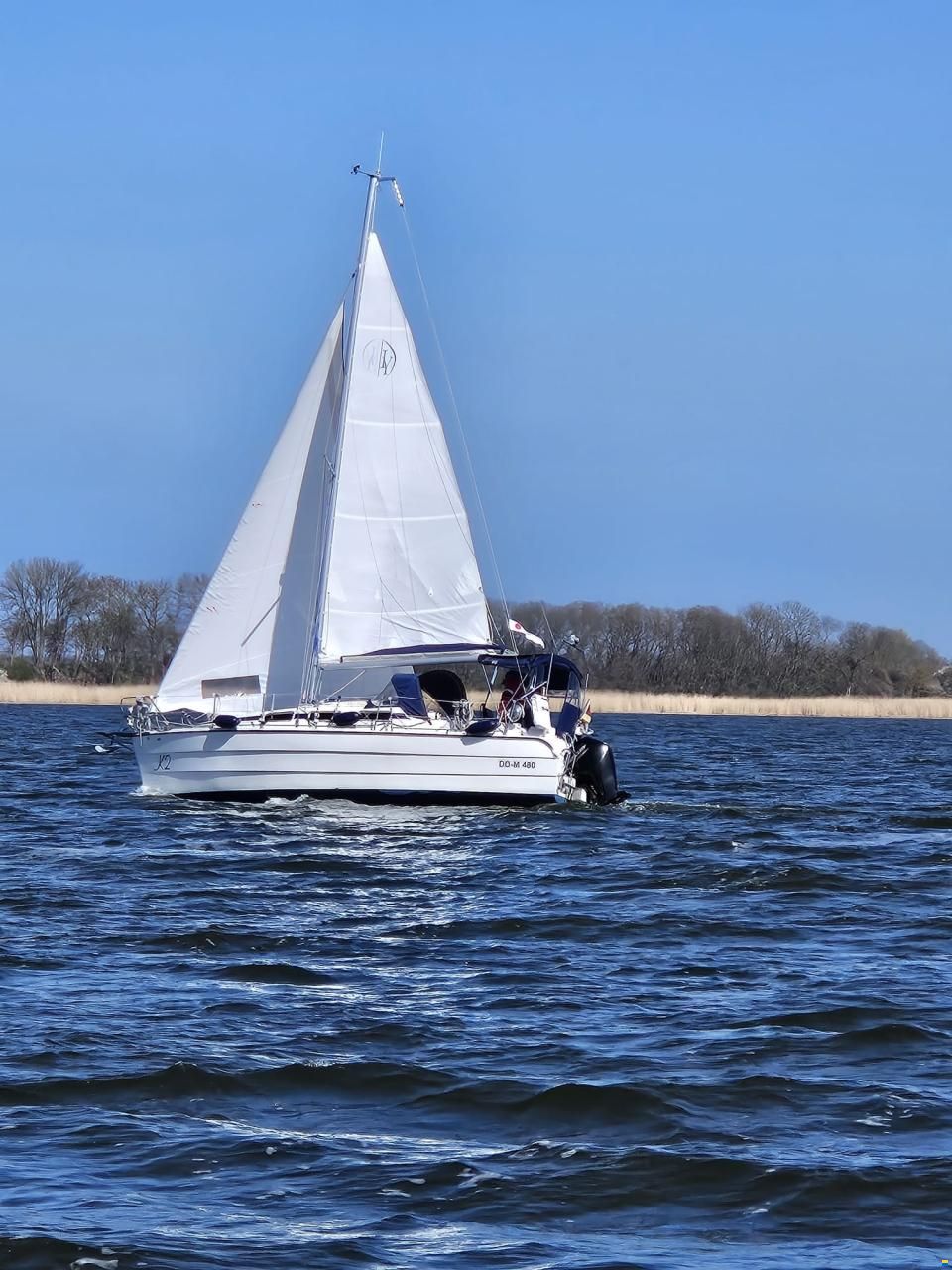 Imexus 28