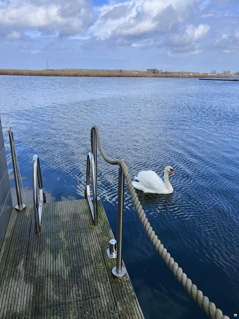 Floating House Steelvoll 63