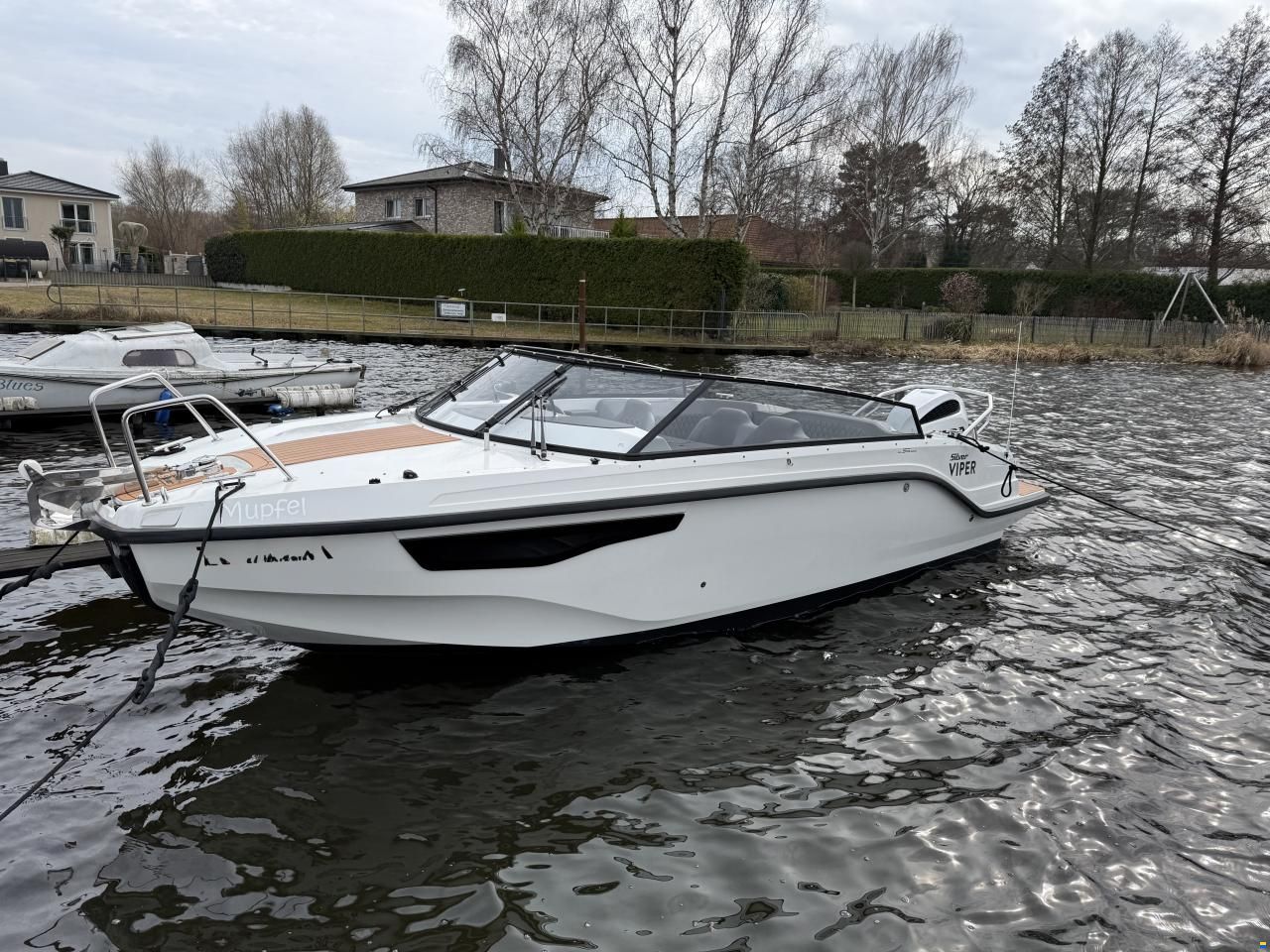Silver Viper DcZ