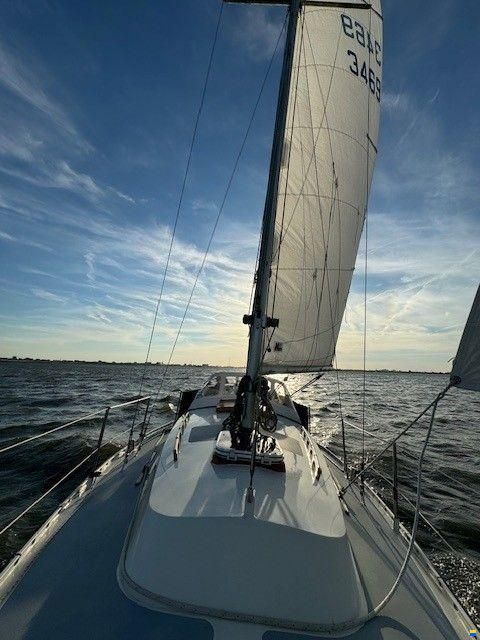 Koopmans 29 Alusail