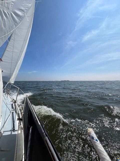 Koopmans 29 Alusail