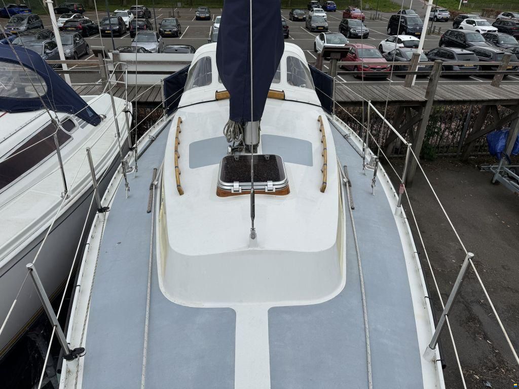 Koopmans 29 Alusail