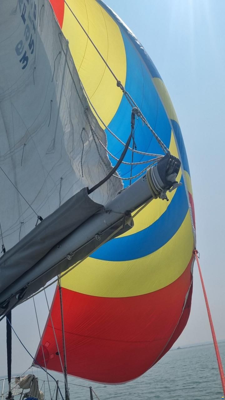 Dufour 31