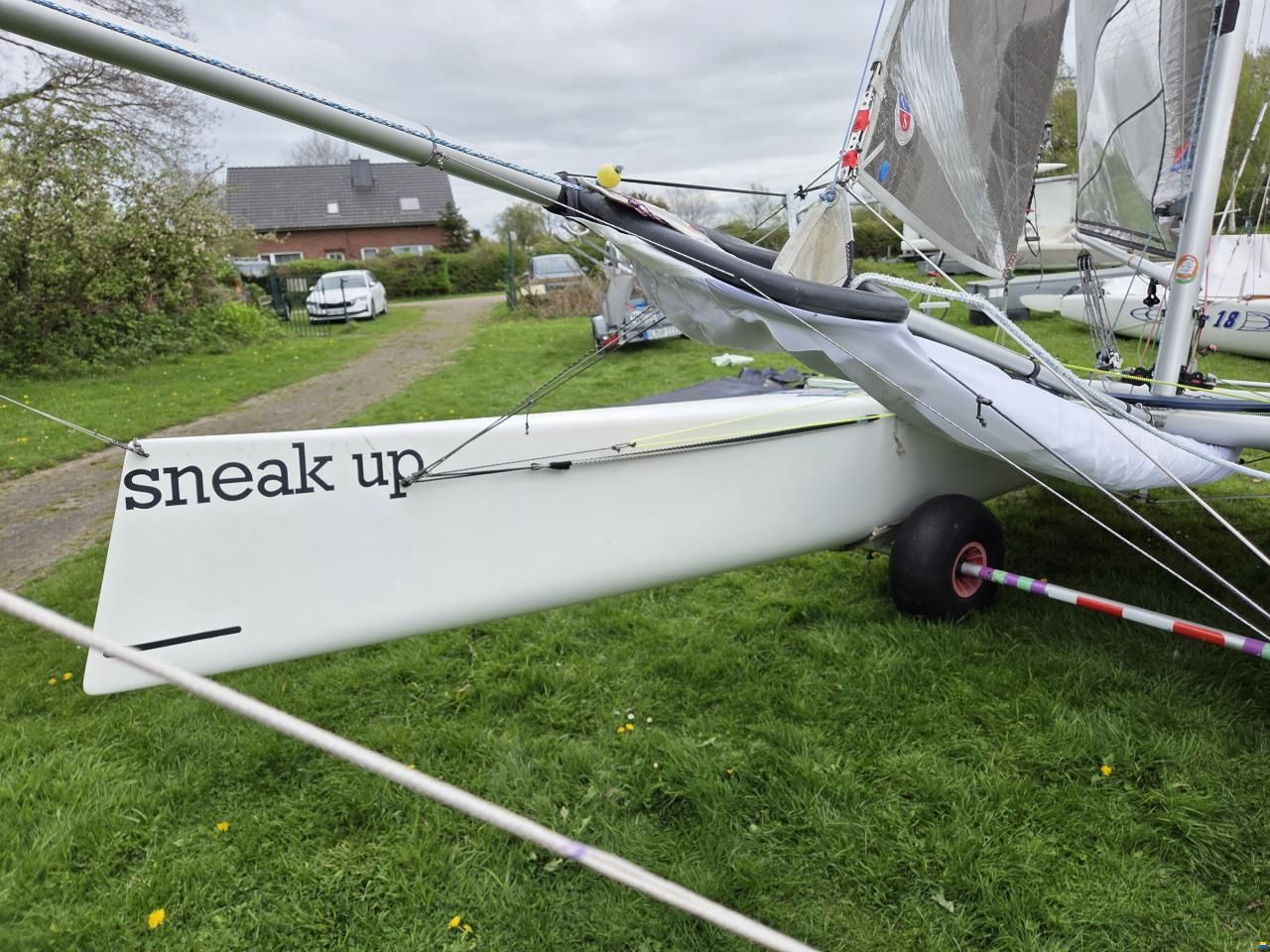 F18 Capricorn AHPC Goodall Cat