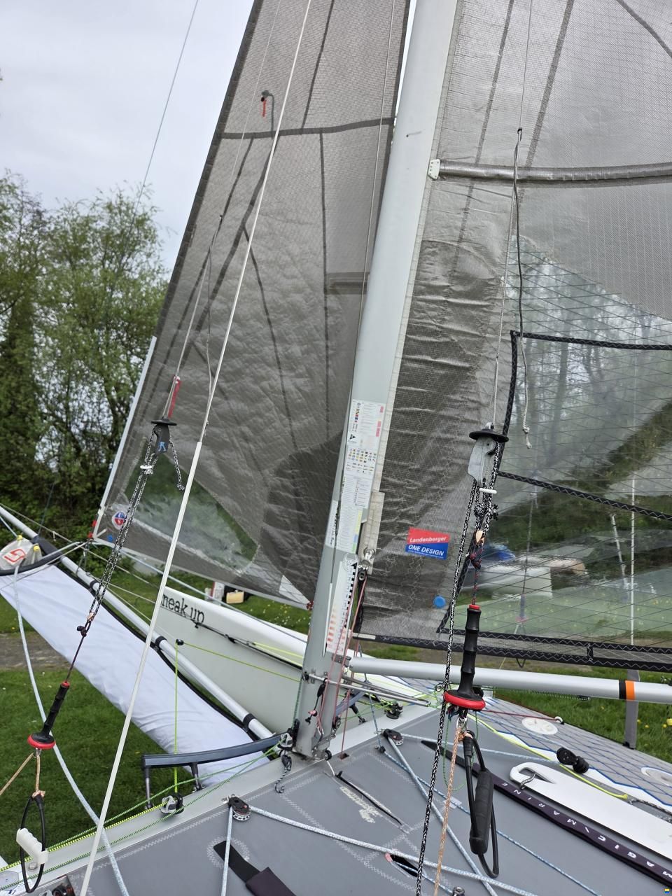 F18 Capricorn AHPC Goodall Cat