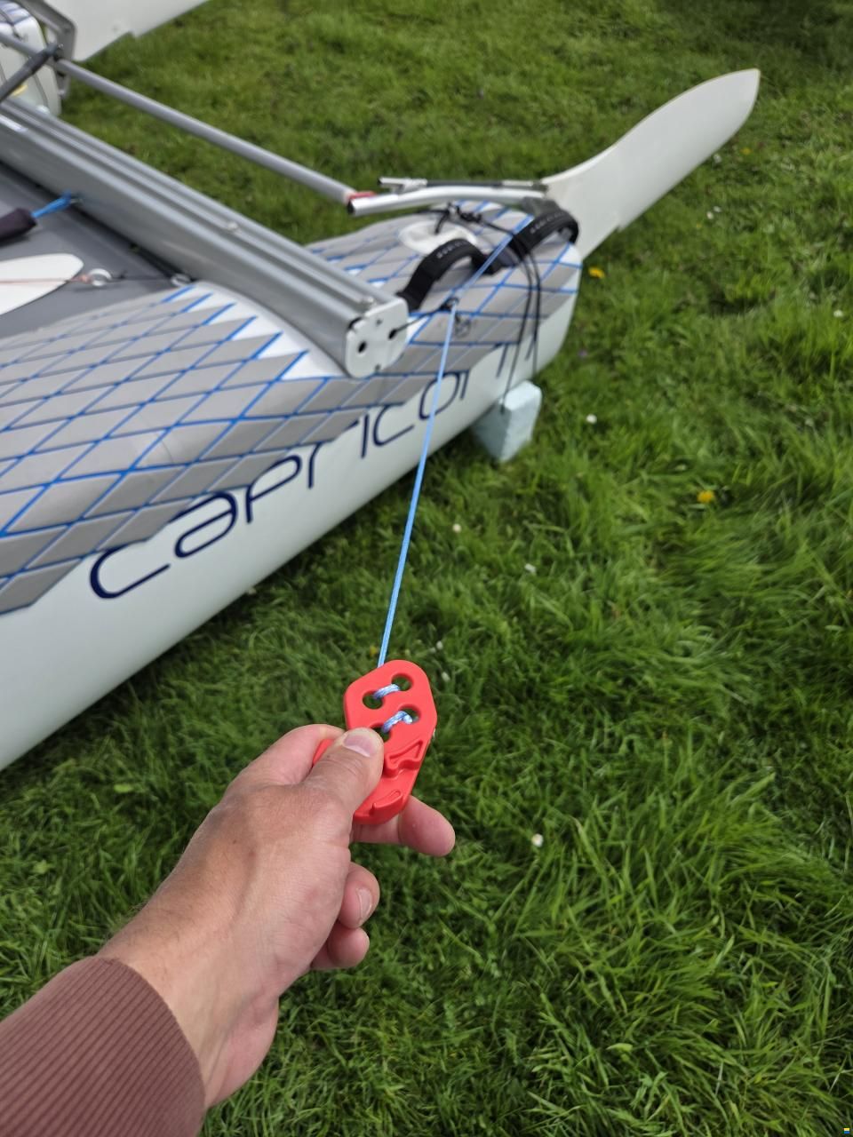 F18 Capricorn AHPC Goodall Cat