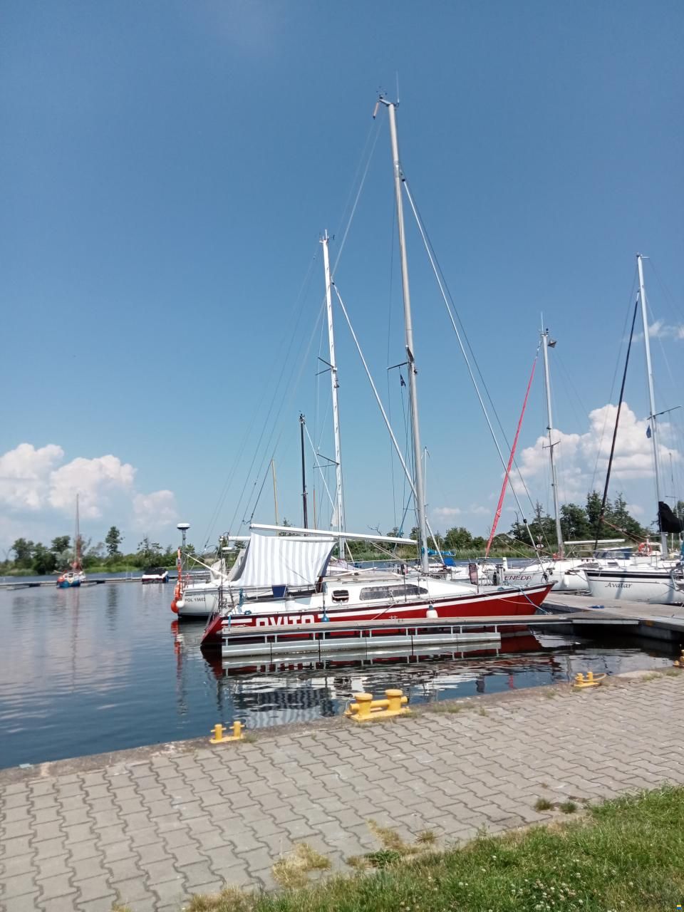 Van de Stadt Vita
