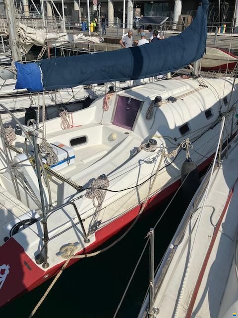 Sintesi 36