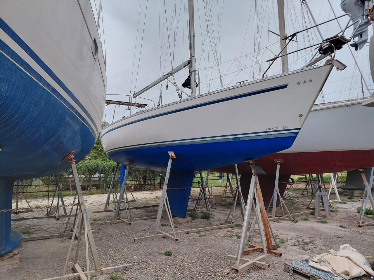 Dynamic 37