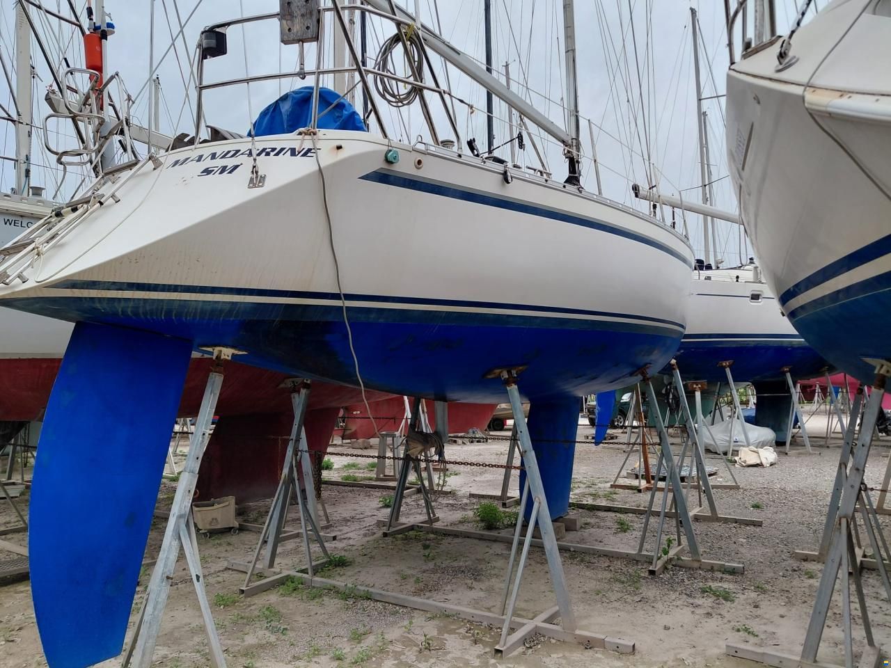 Dynamic 37
