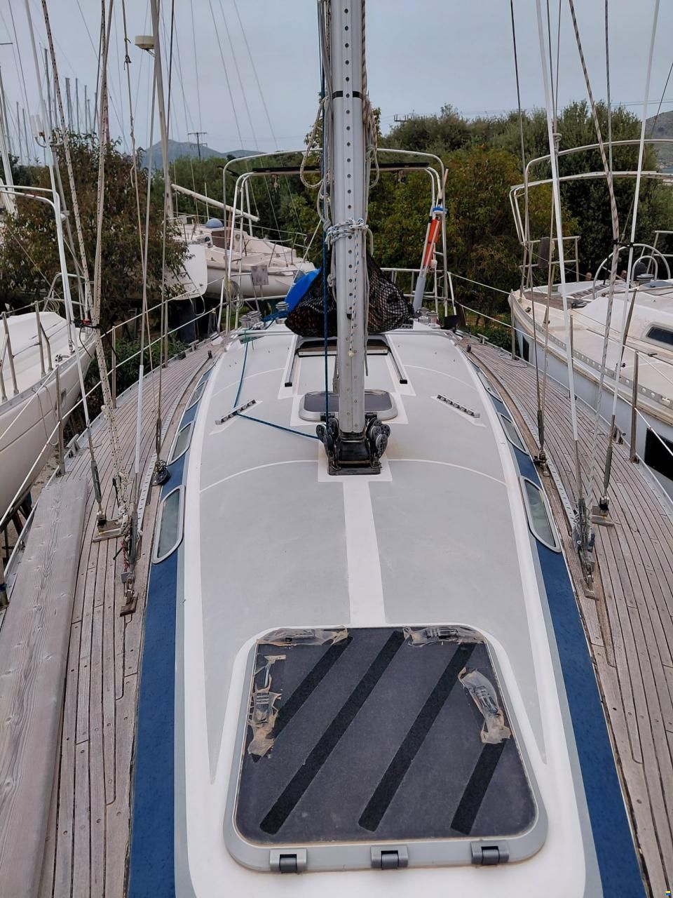 Dynamic 37