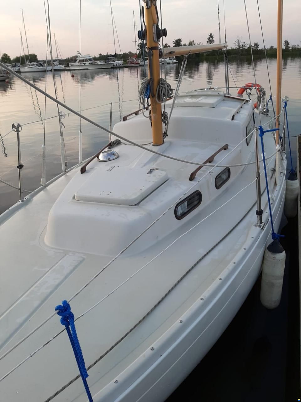 Albin Vega 27