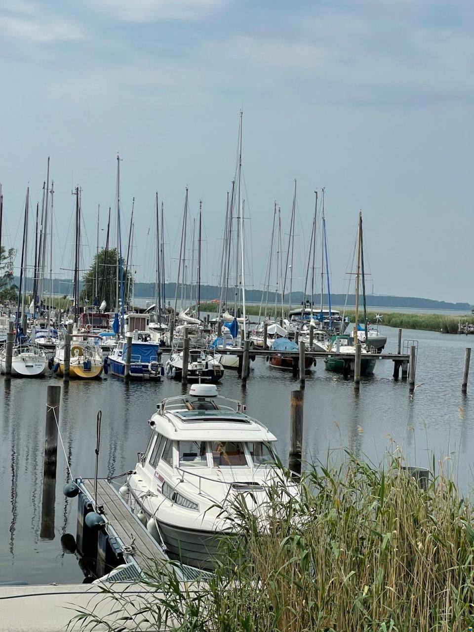 Saga 26
