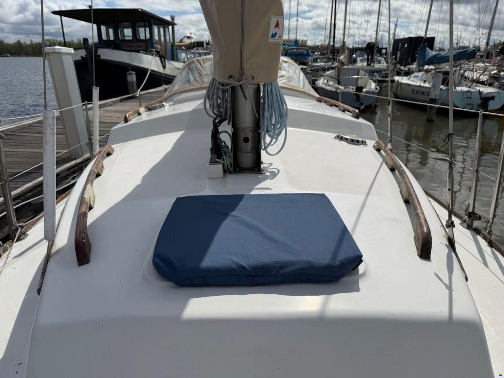 Fellowship 28