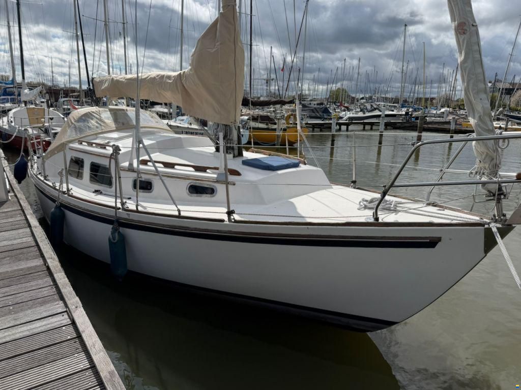 Fellowship 28