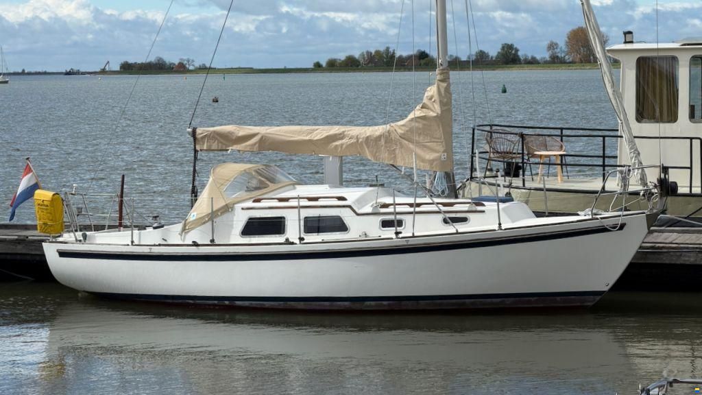 Fellowship 28