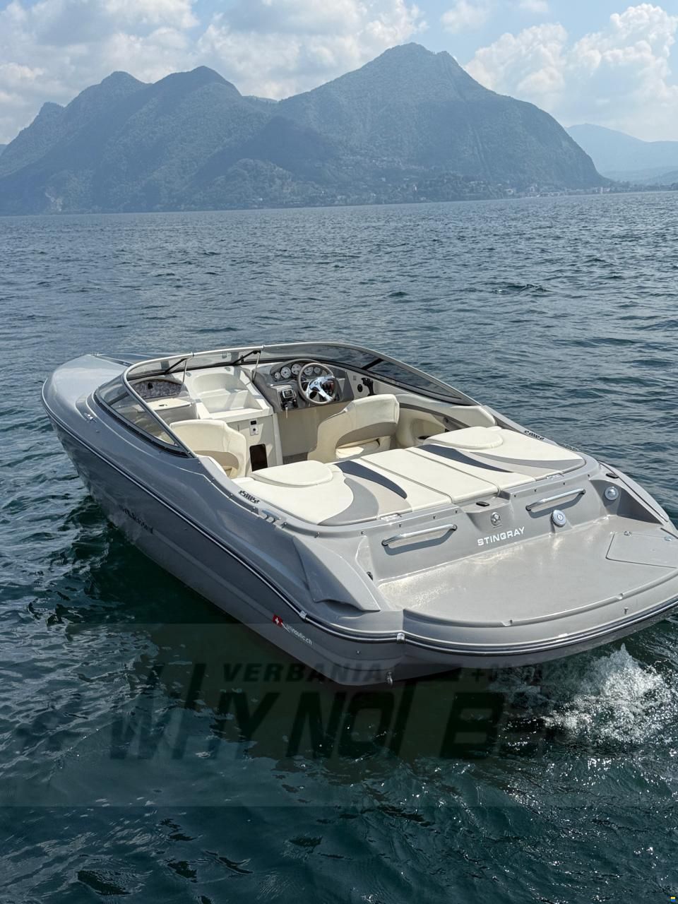 Stingray Cuddy 225 SX