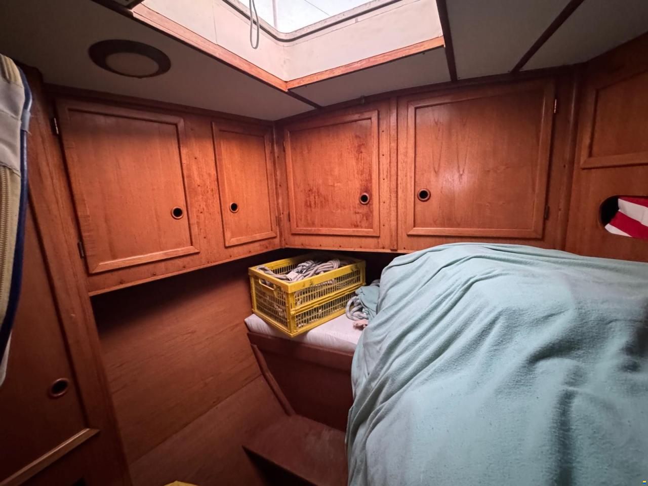 Reinke Hydra 48