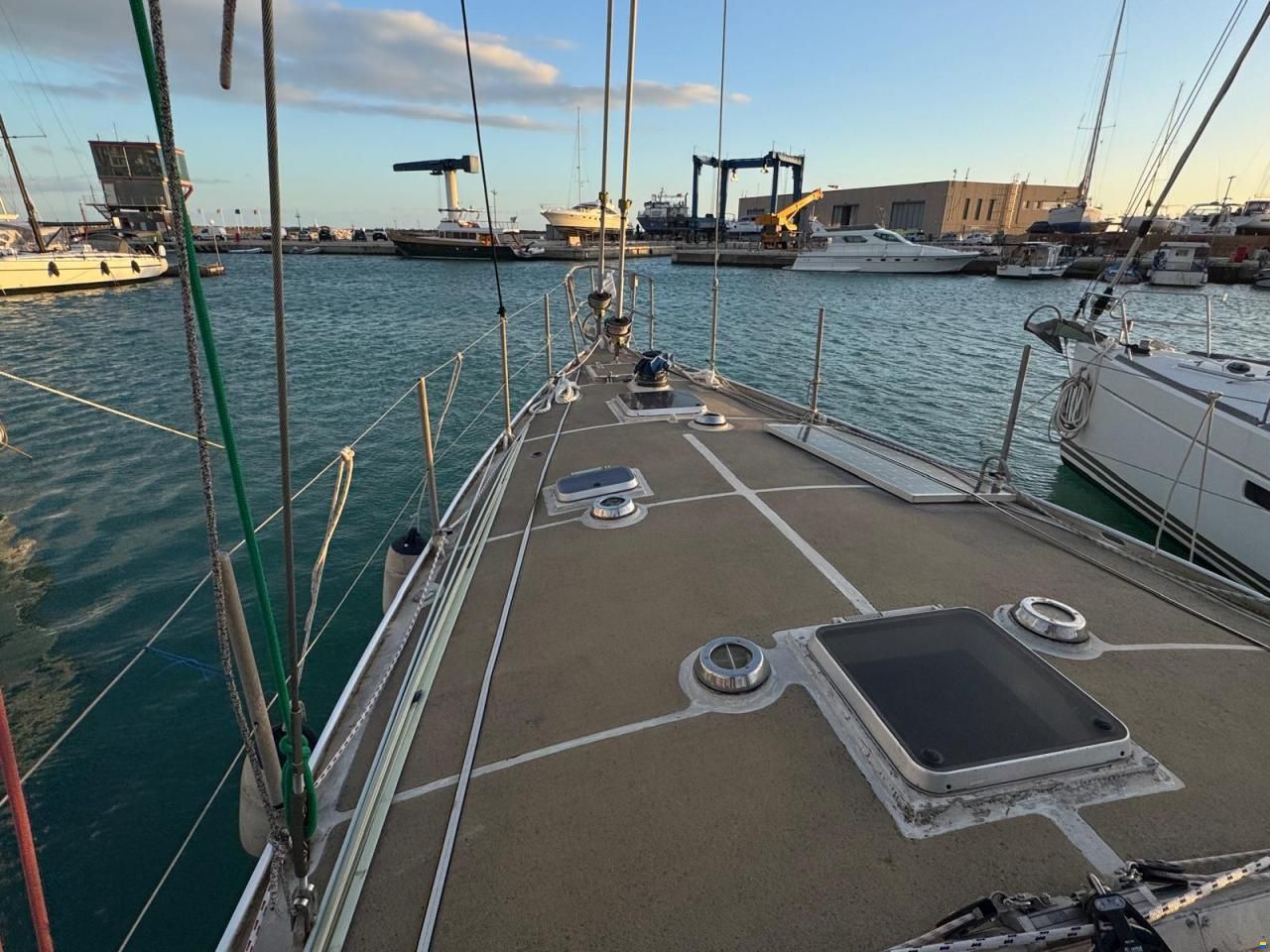 Reinke Hydra 48