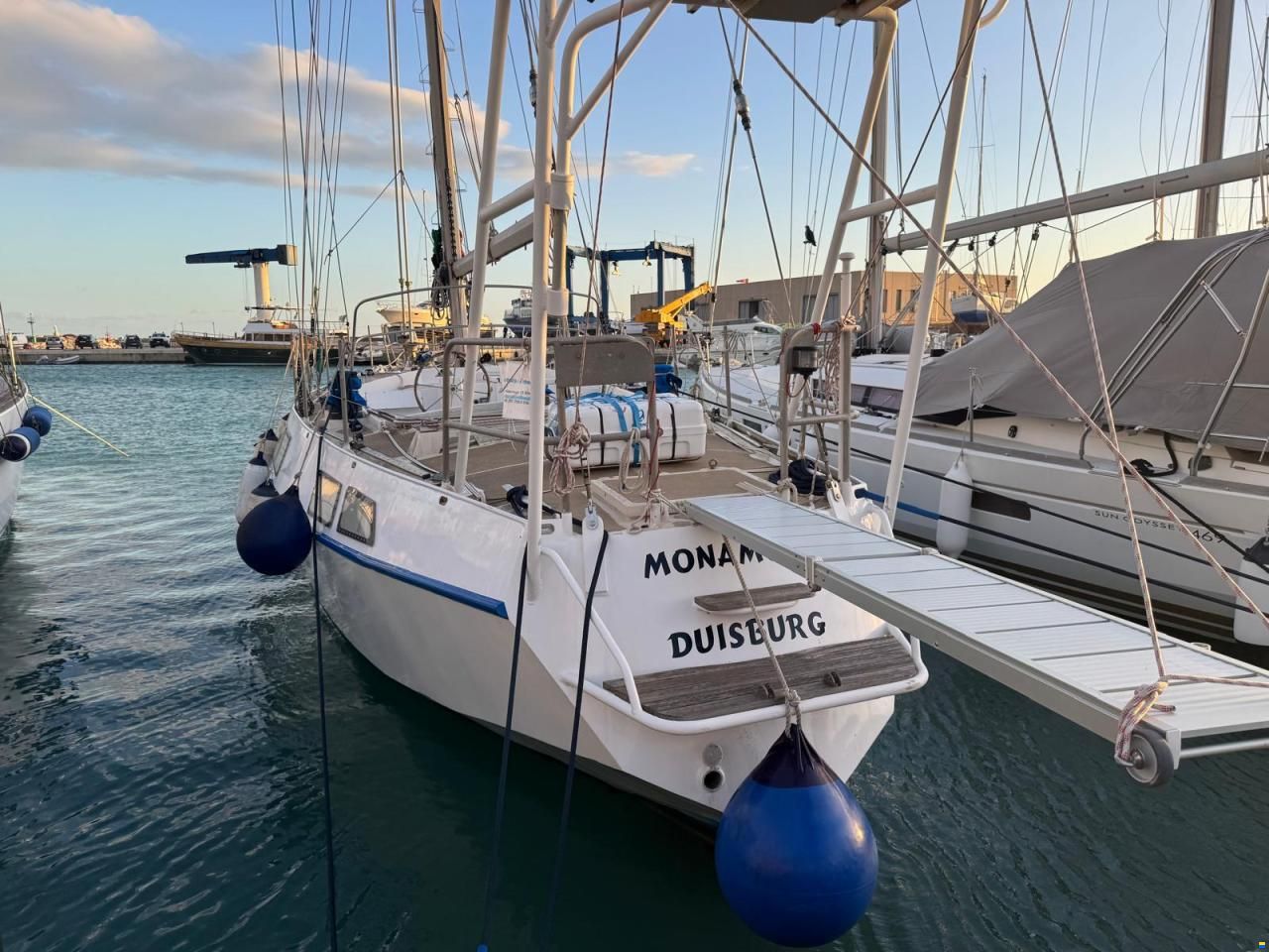 Reinke Hydra 48