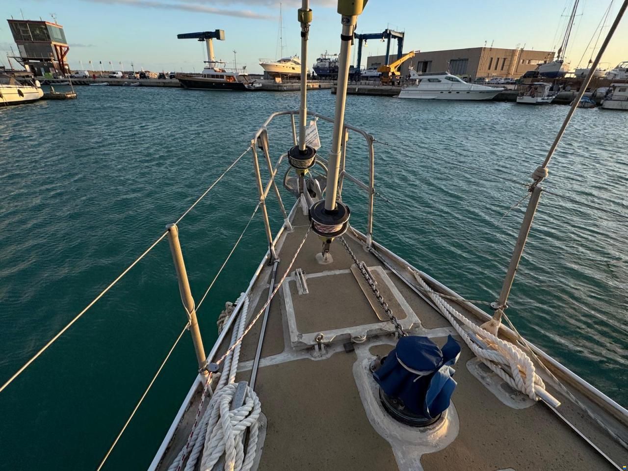 Reinke Hydra 48