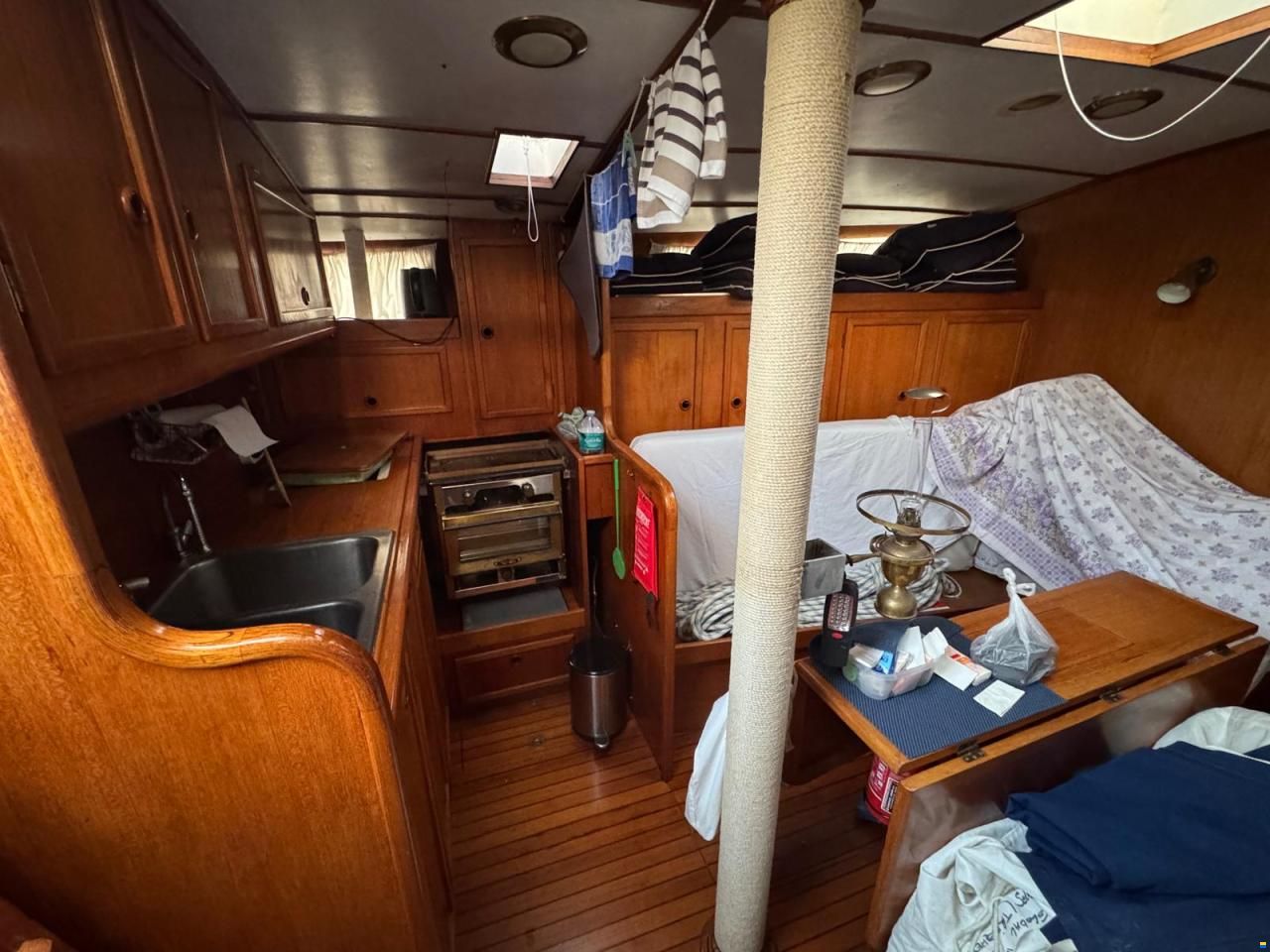 Reinke Hydra 48