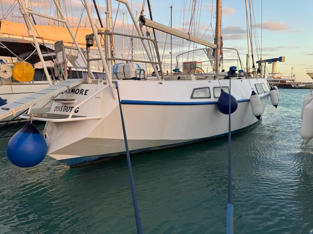 Reinke Hydra 48