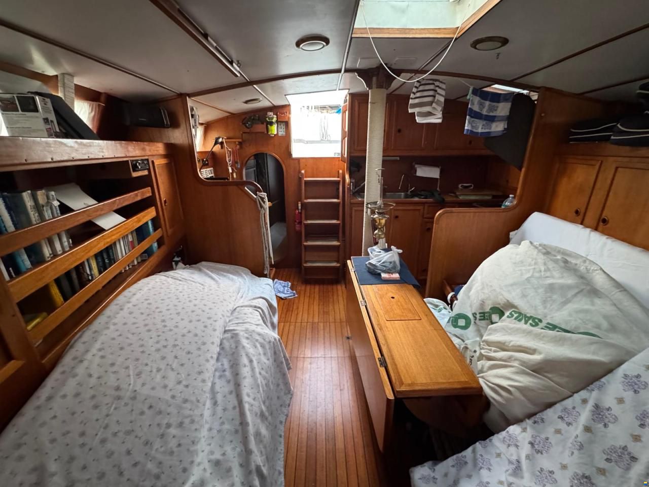 Reinke Hydra 48