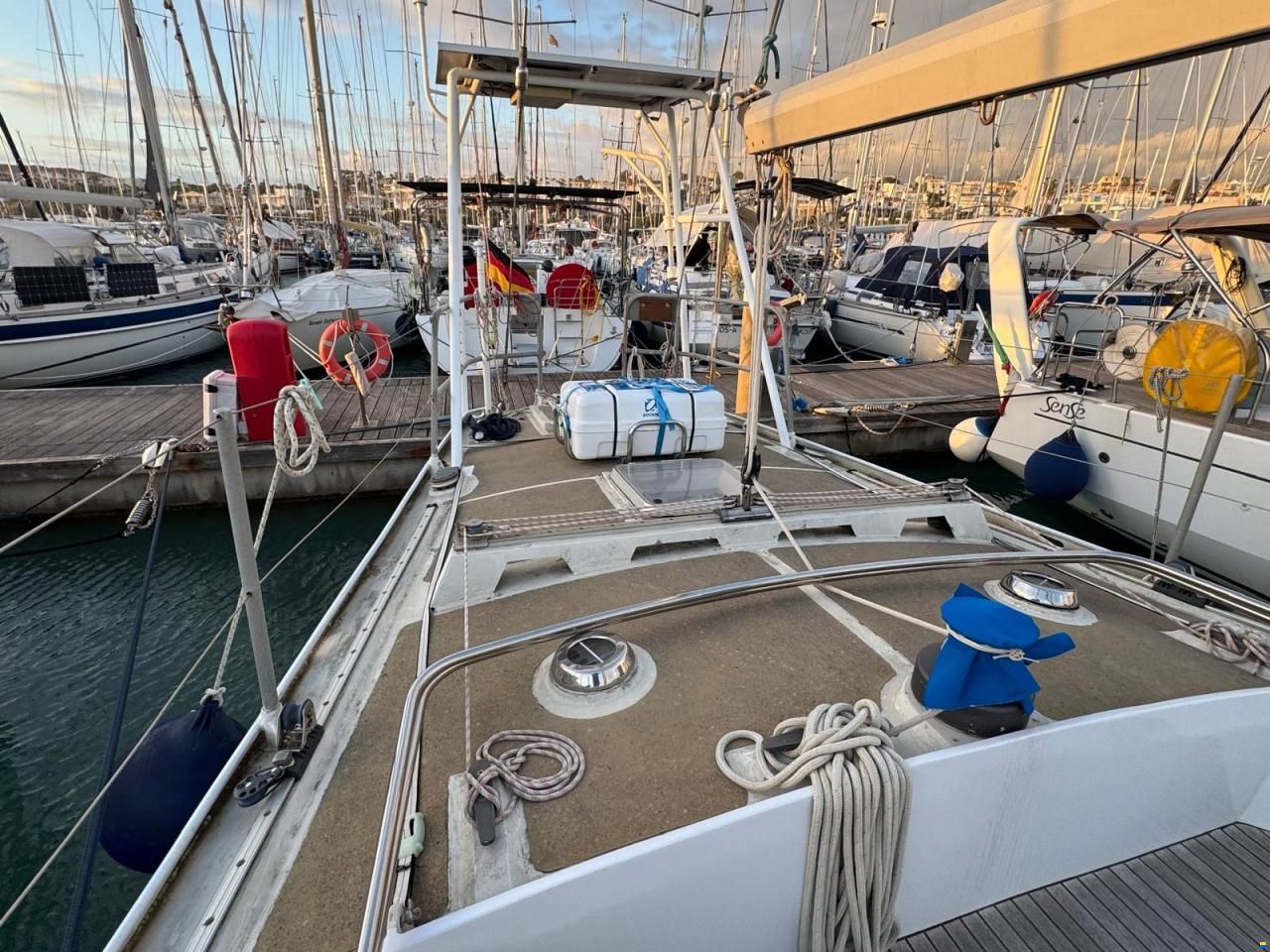 Reinke Hydra 48