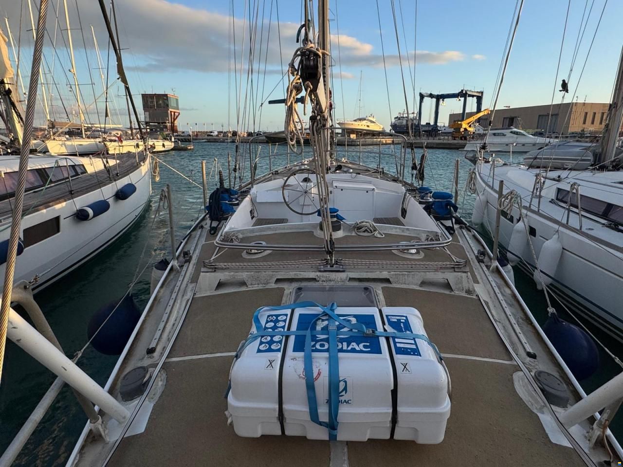 Reinke Hydra 48