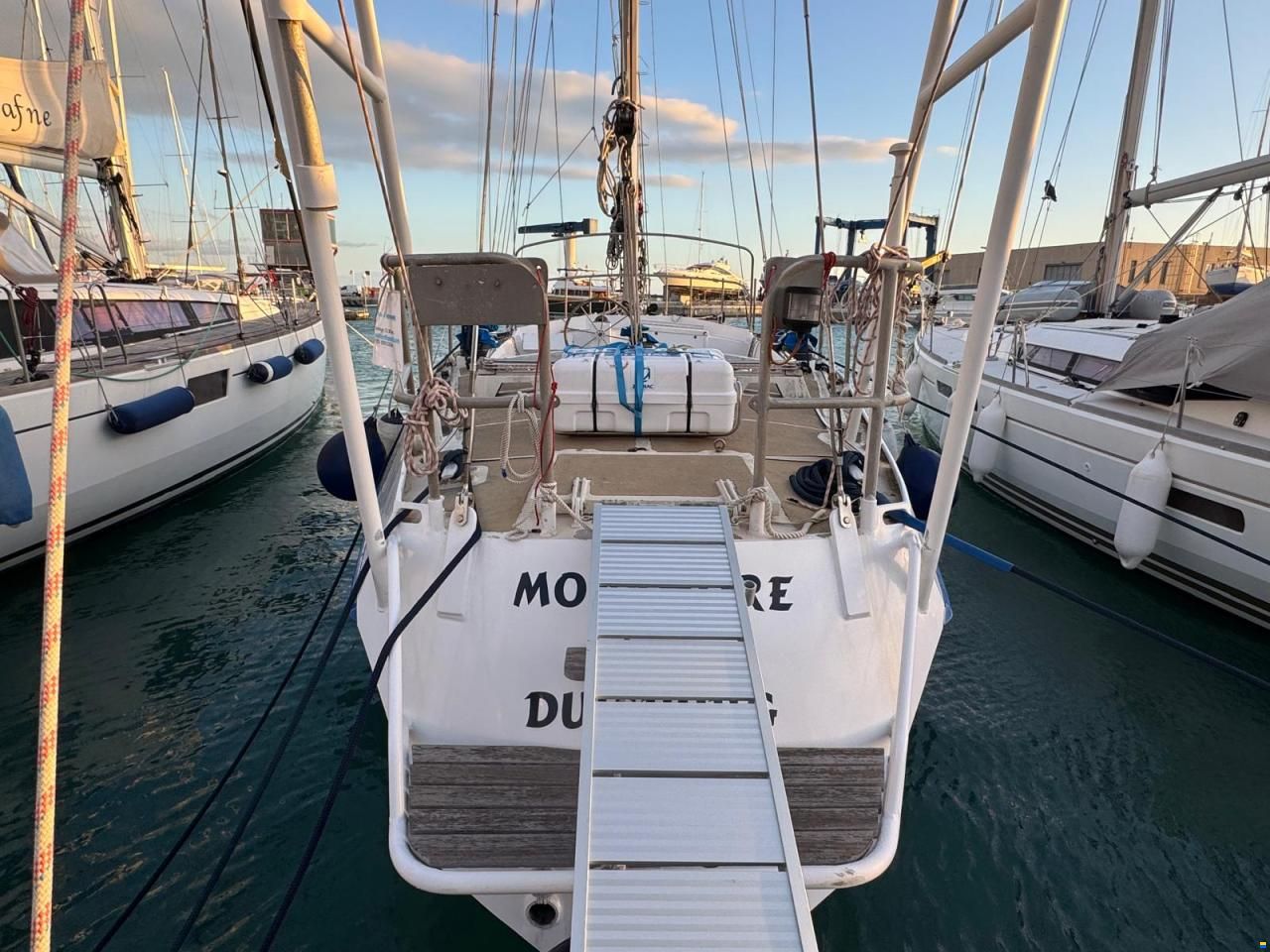 Reinke Hydra 48
