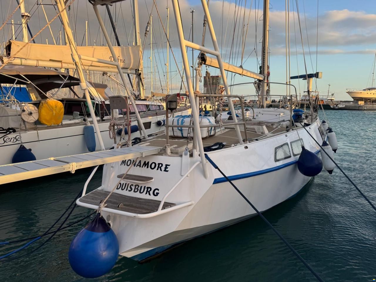 Reinke Hydra 48