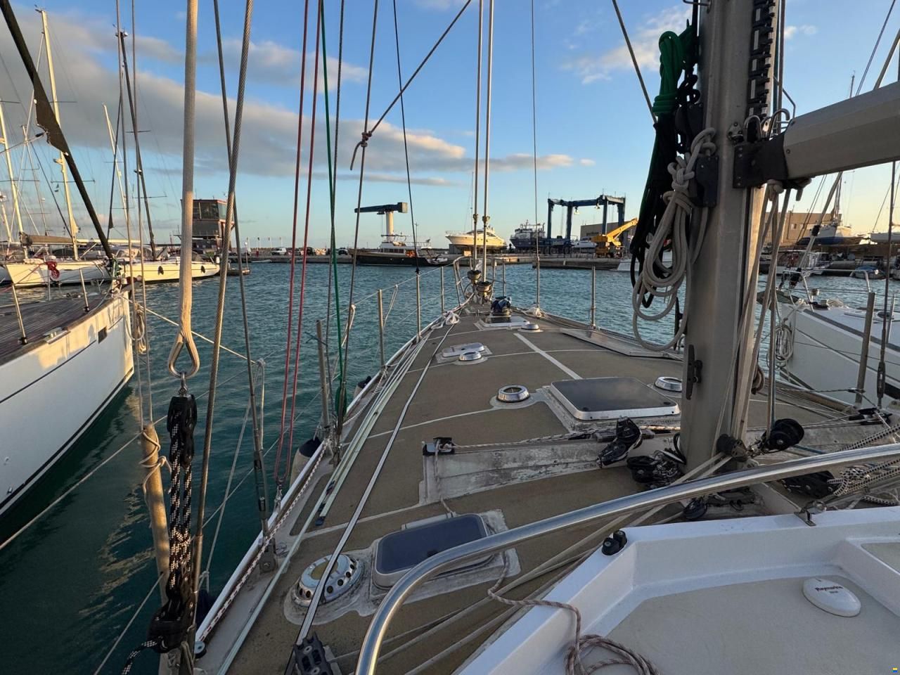 Reinke Hydra 48