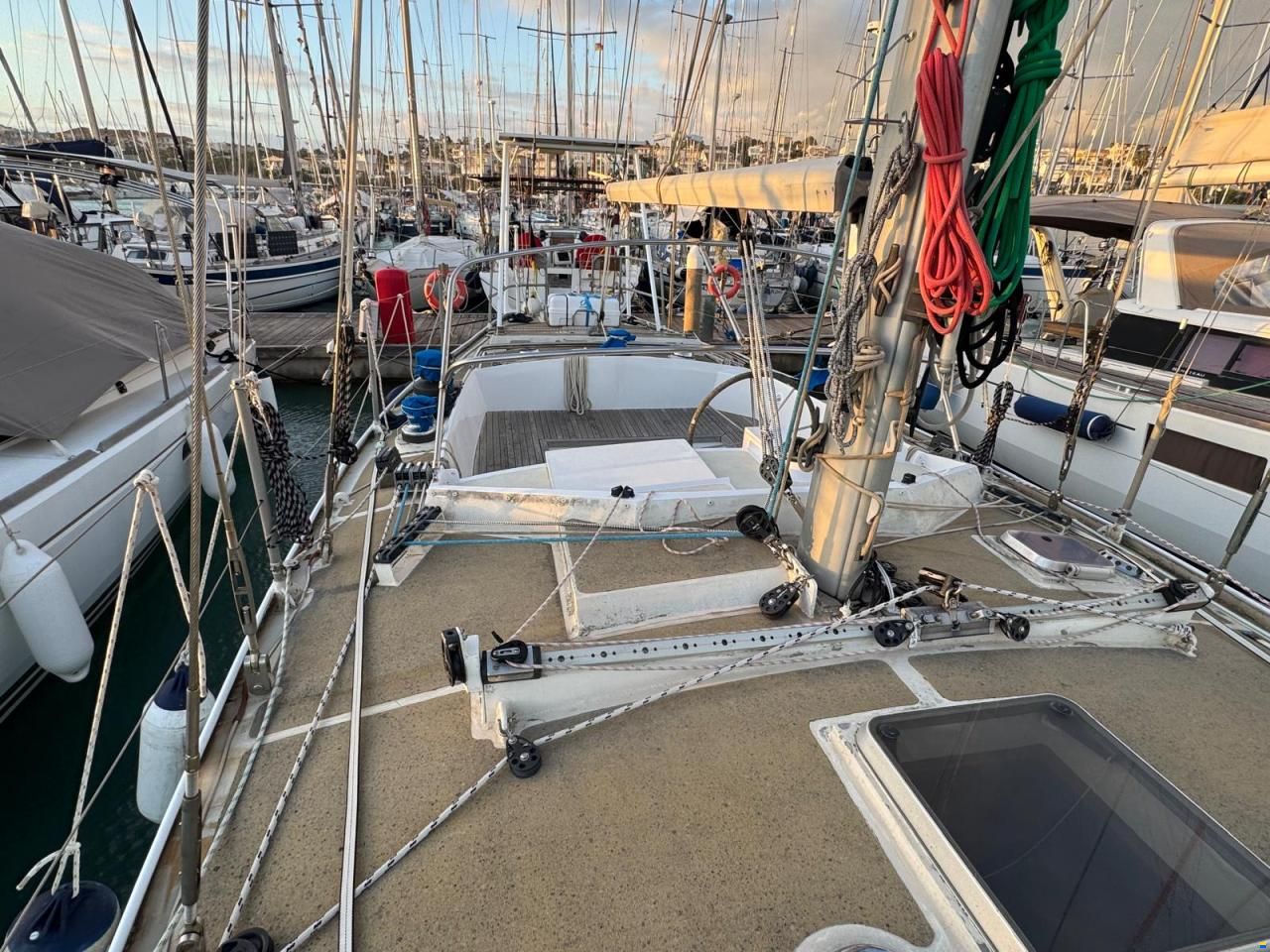Reinke Hydra 48