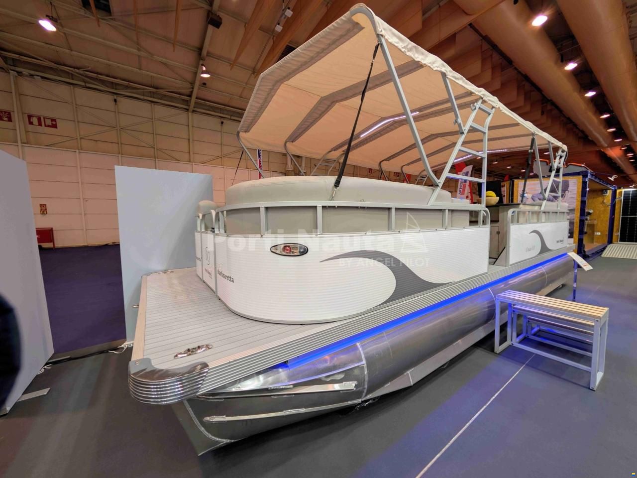 SharkCaretta C8