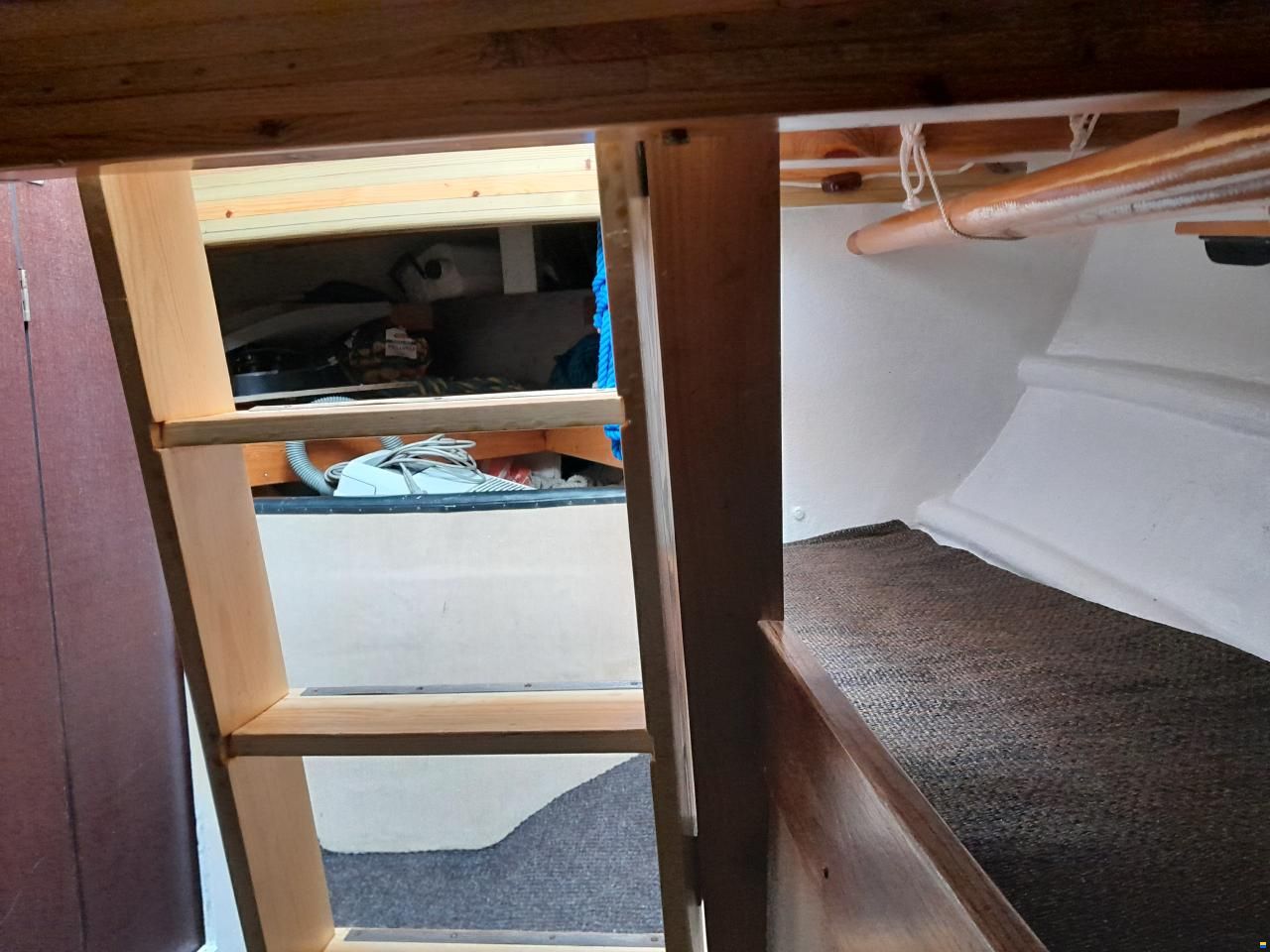 Troolarityyppinen
