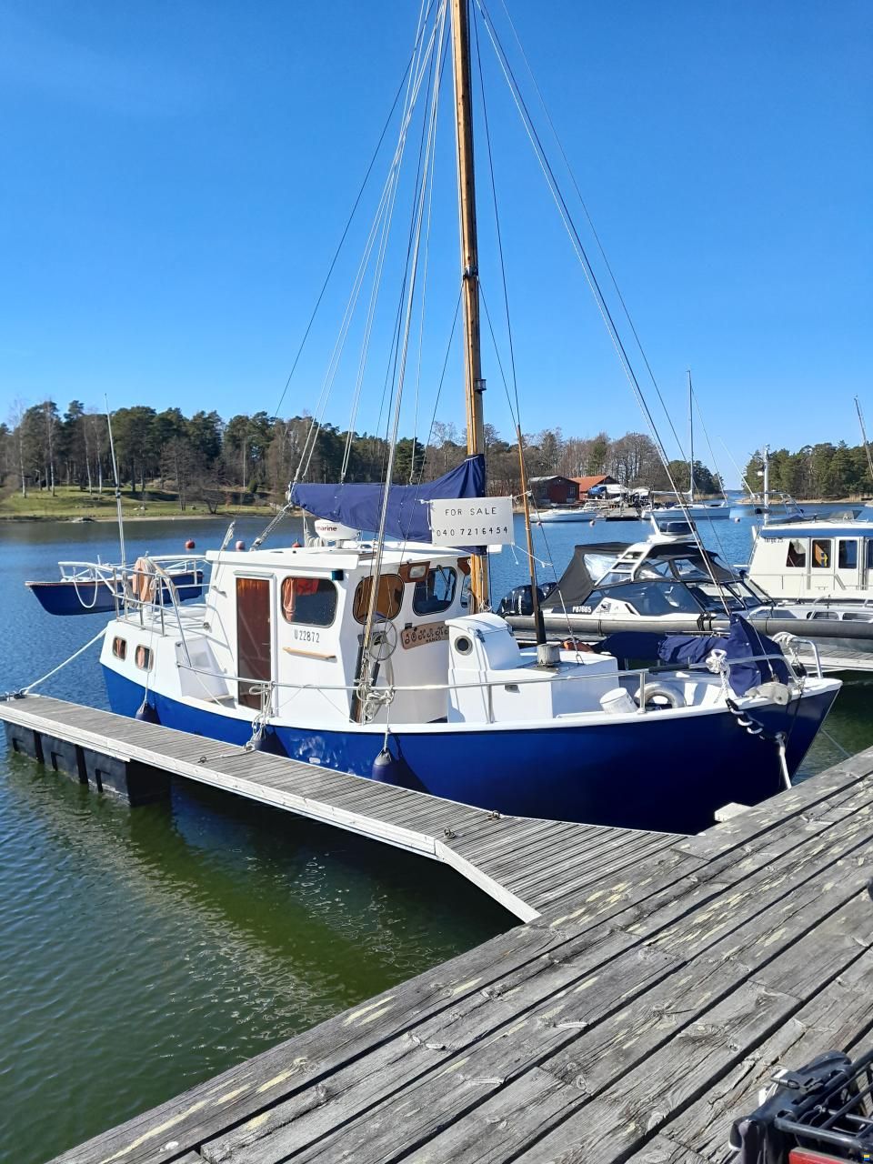 Troolarityyppinen