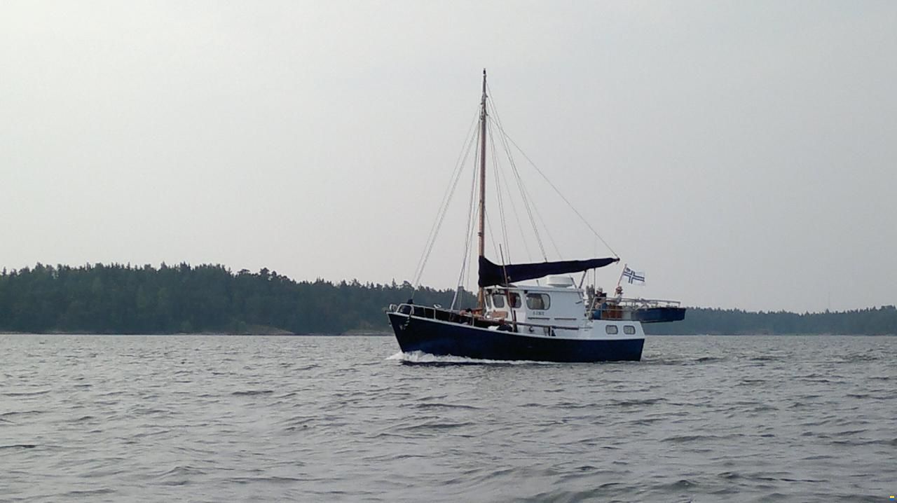 Troolarityyppinen