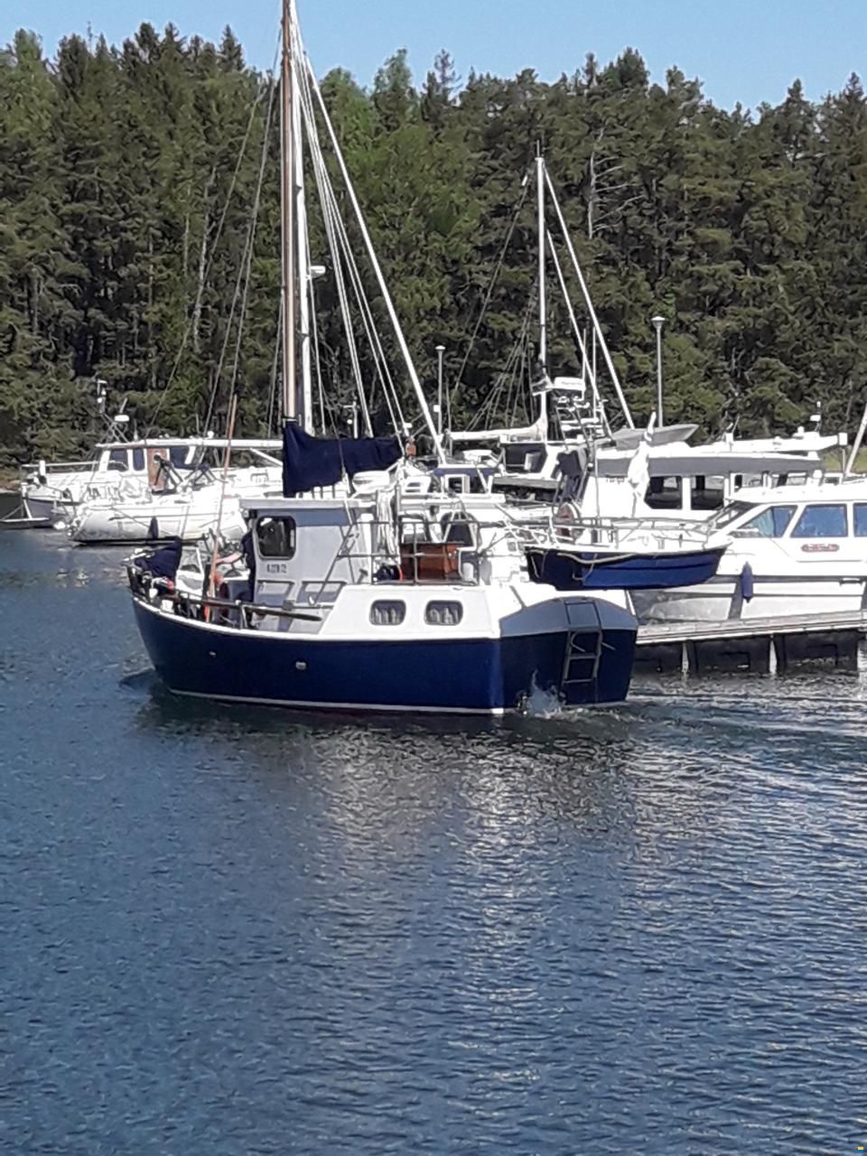Troolarityyppinen