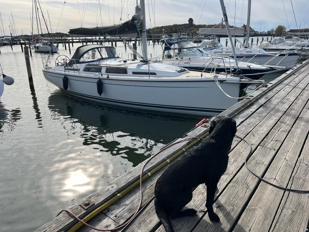 Hanse 345