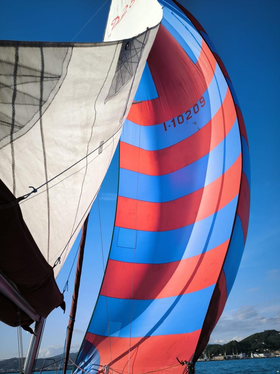 Delphia 28 Sport