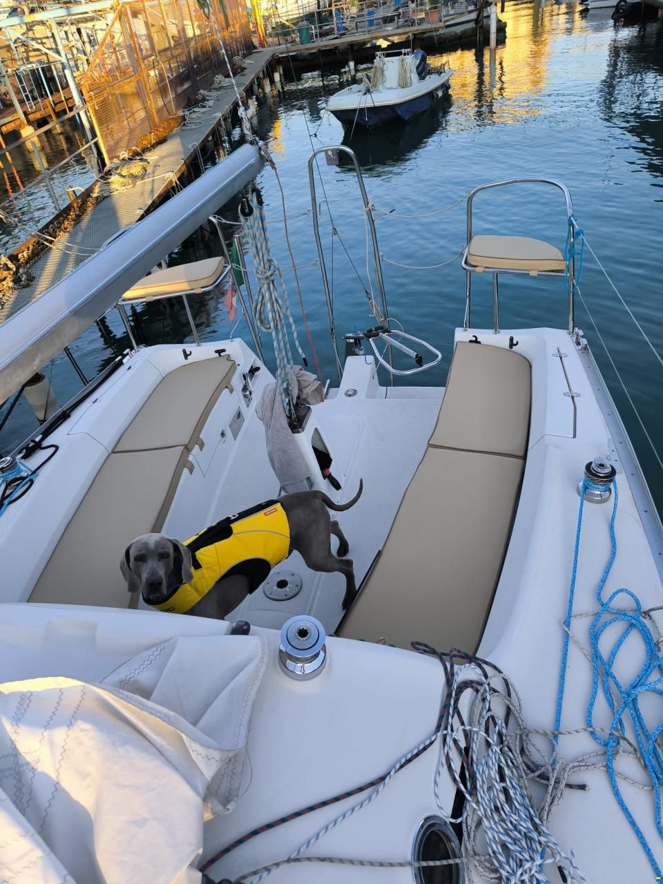 Delphia 28 Sport