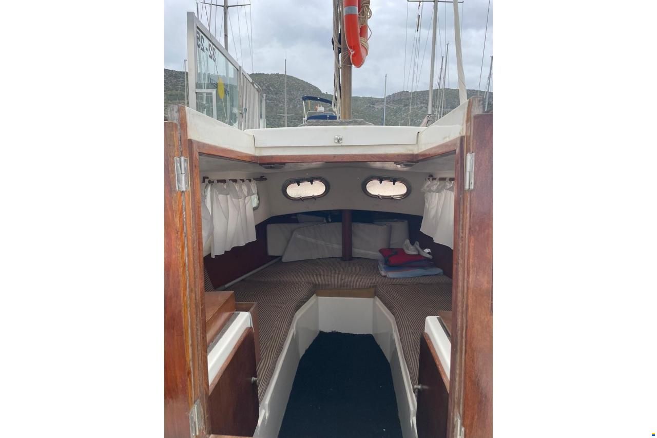 Knort 6m