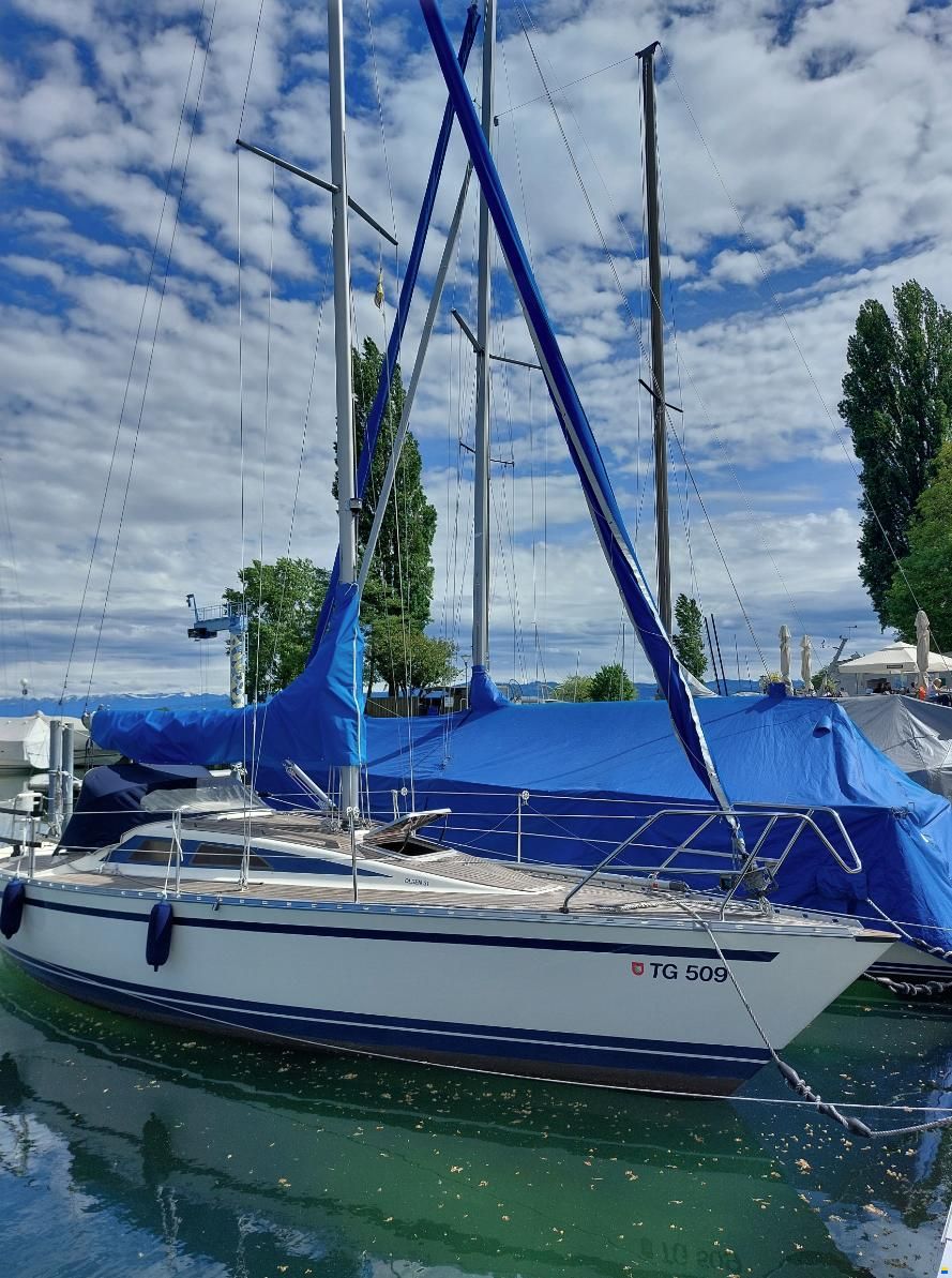 Olsen 31