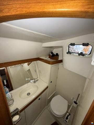 Comfortina 35