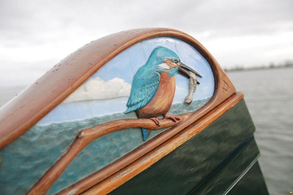 Lemsteraak Roefmodel - IJsvogel