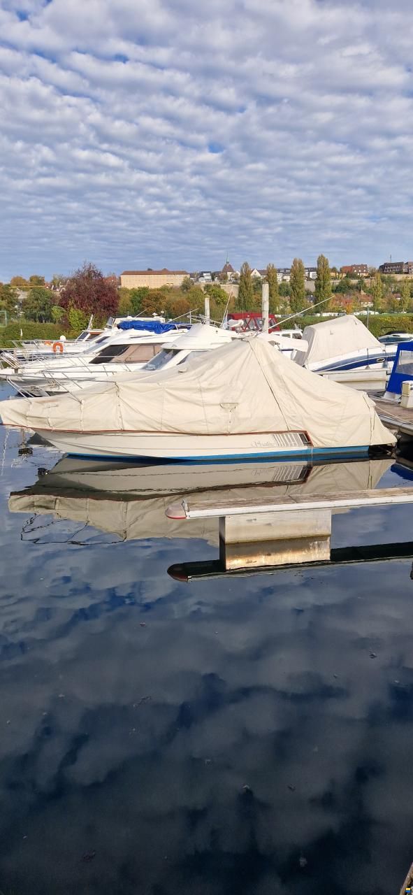 Sealine Confi 28 Family