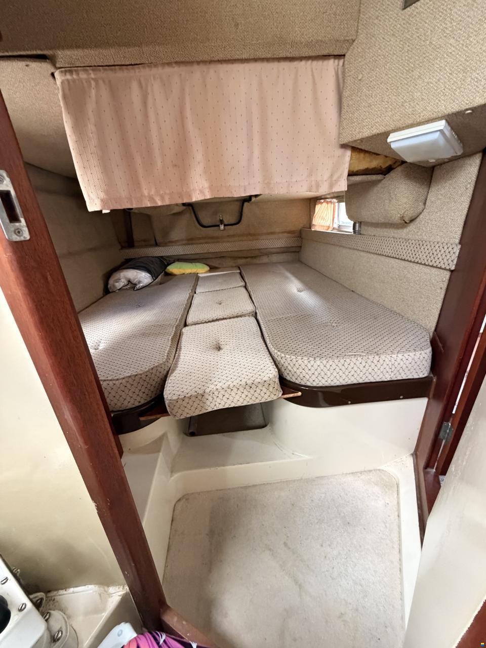 Sealine Confi 28 Family
